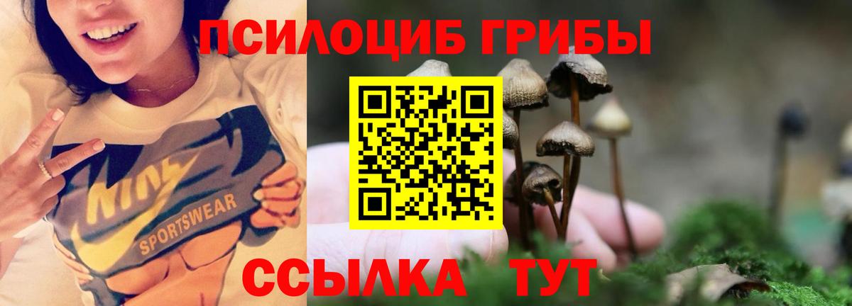 Псилоцибиновые грибы Psilocybe  Галлюциногенные грибы GOLDEN TEACHER  Ирбит  Вход с VPN 